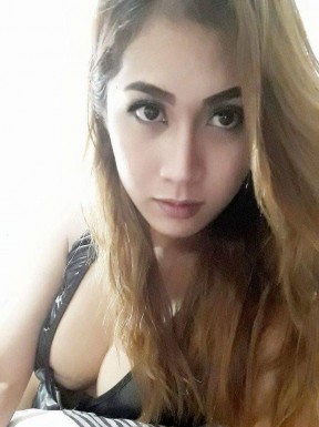 Thai ladyboys for dating / Ladyboys from Philippines for dating