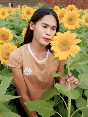 Thai ladyboys for dating / Ladyboys from Philippines for dating